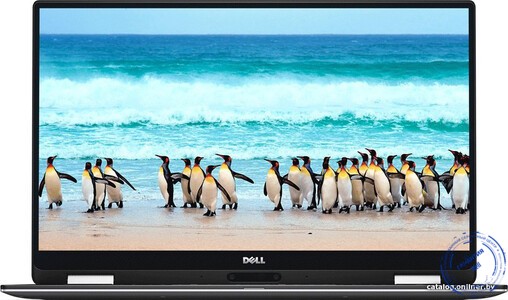 ноутбук Dell XPS 13 9365